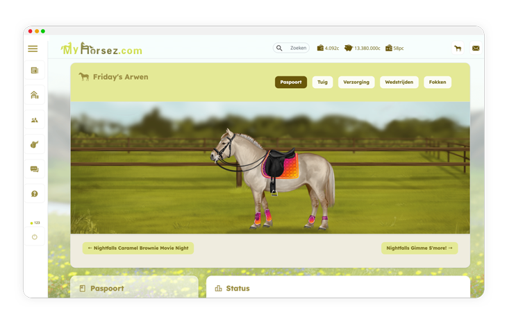Fjordenpaard (Fjord) met kleurrijk setje op online paardengame My Horsez